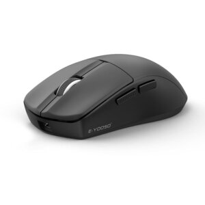 mouse