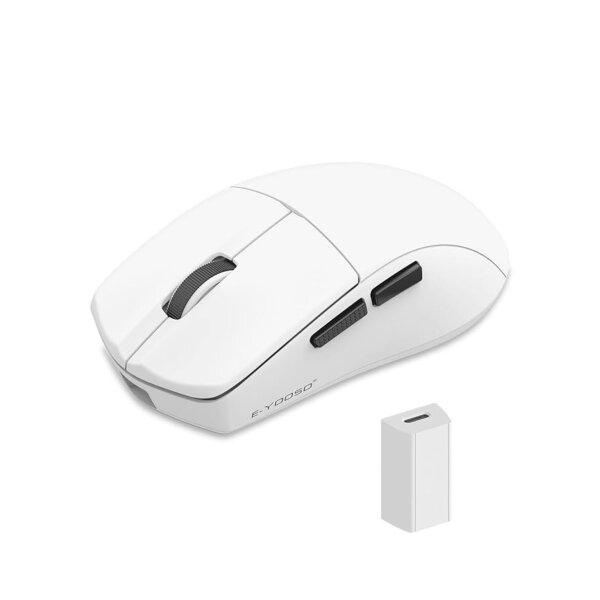 mouse