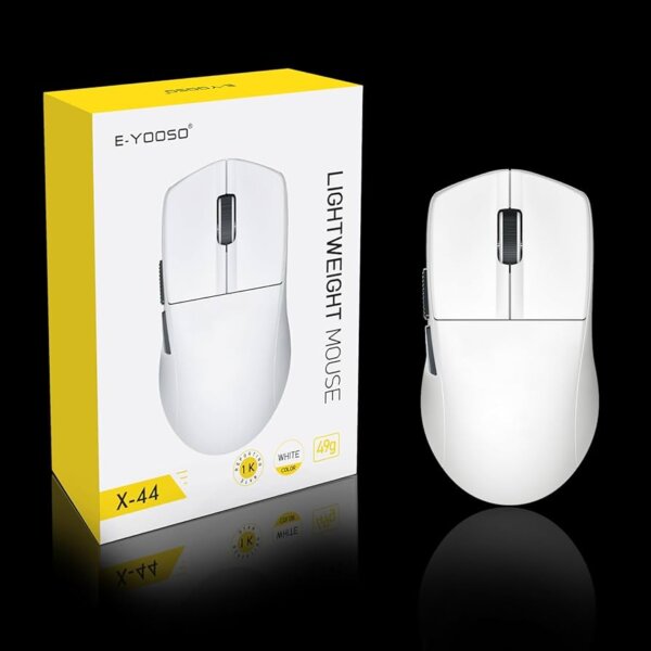 mouse